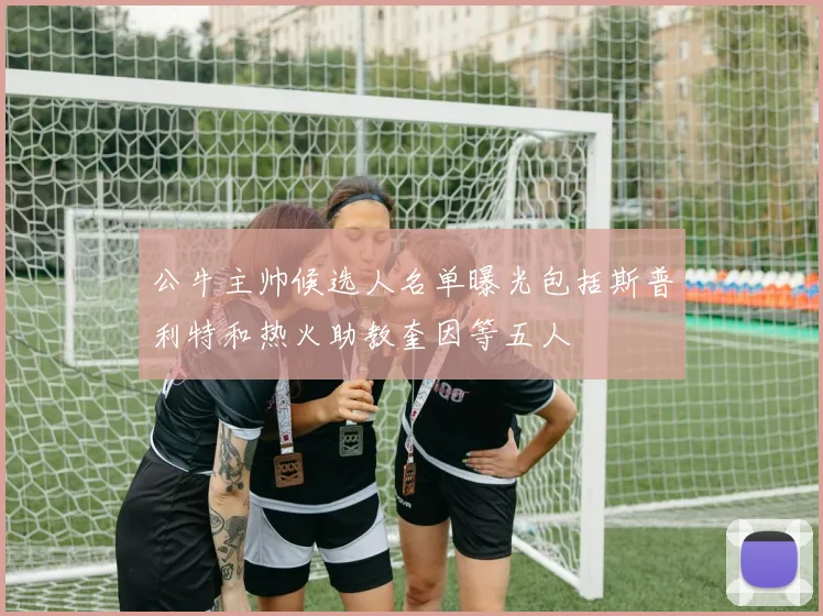 公牛主帅候选人名单曝光包括斯普利特和热火助教奎因等五人