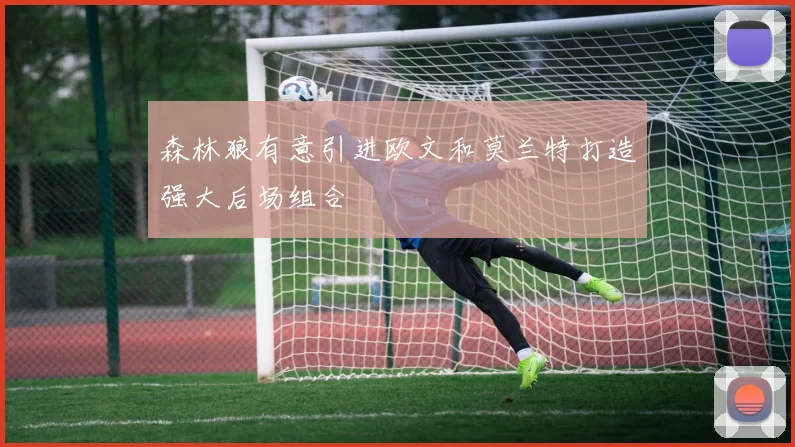 森林狼有意引进欧文和莫兰特打造强大后场组合